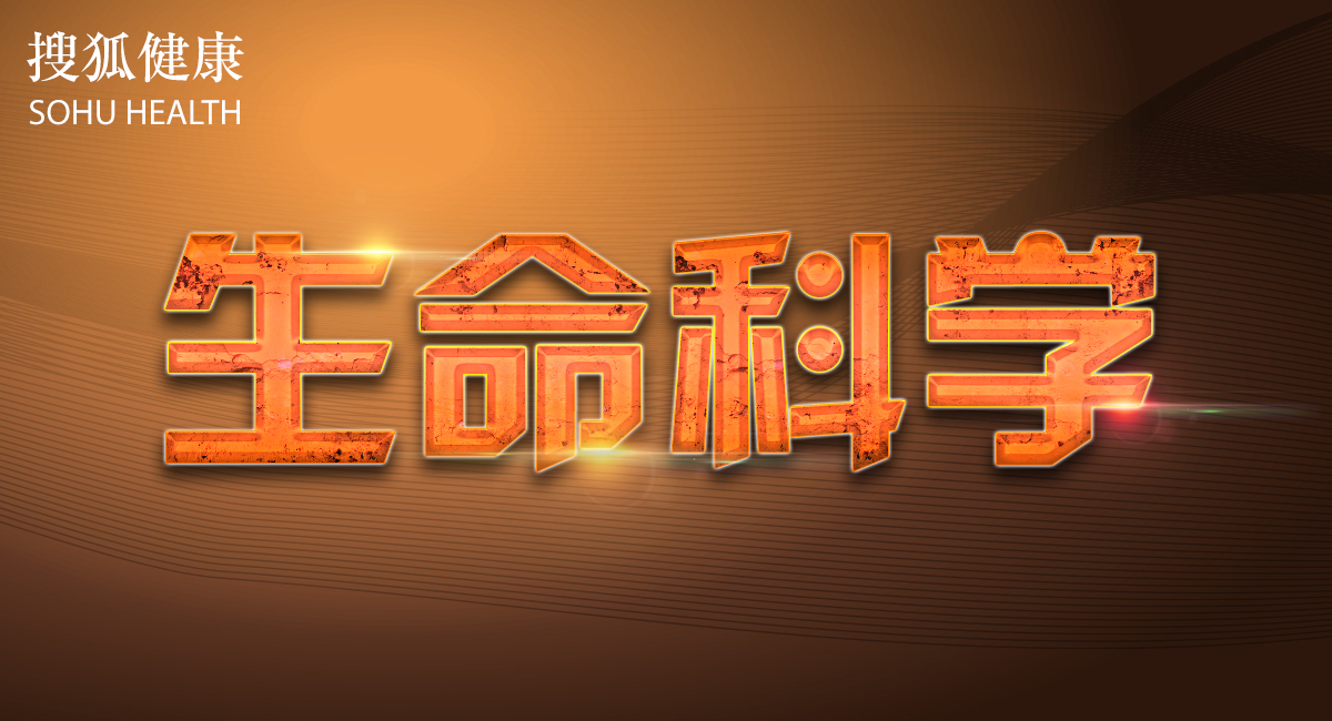 生命科学｜手机拉近了我们和脑震荡的距离