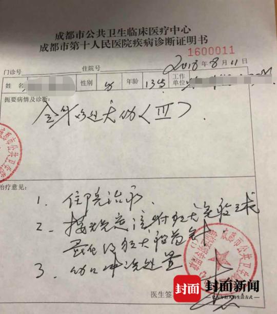 德牧被未牵绳主人暴打,在城市小孩被德牧咬伤怎么赔偿