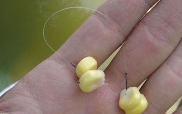 为什么草鱼老是钓不到,草鱼应该怎么钓才好吃