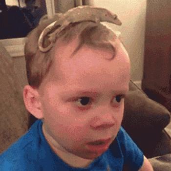 100个可爱萌娃动态表情包,萌娃日常生活的表情包