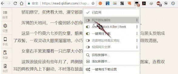 chrome鎬庝箞鍙戞尌鏋佽嚧,chrome鍗佸ぇ鐥涚偣