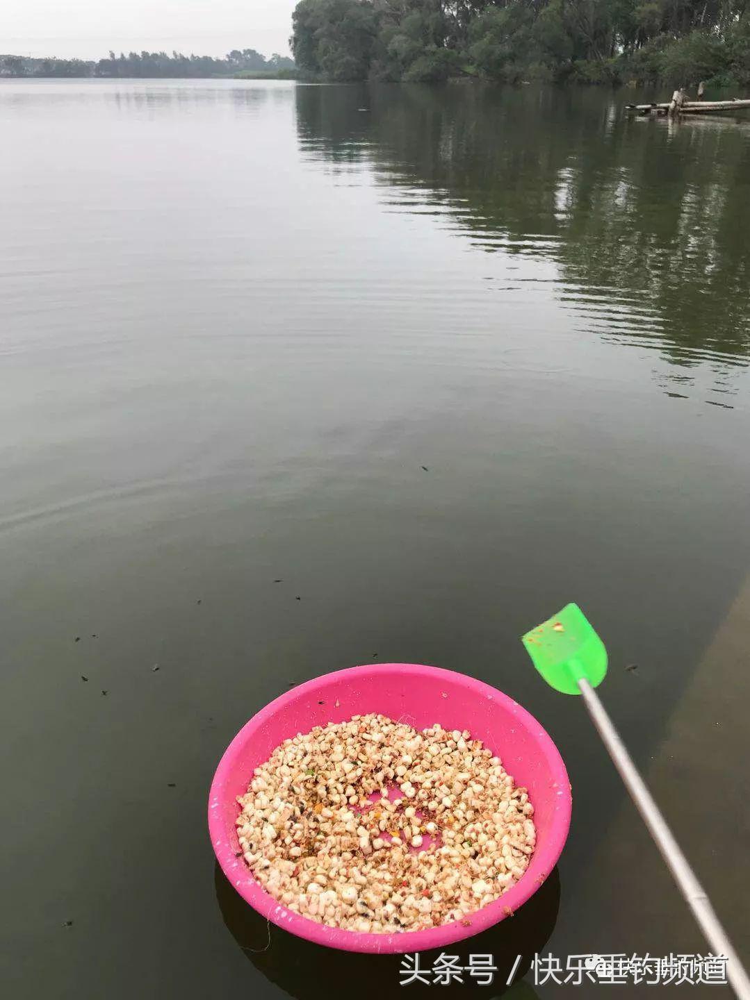 河蟹闹窝不要慌，用对方法可抢大鱼！