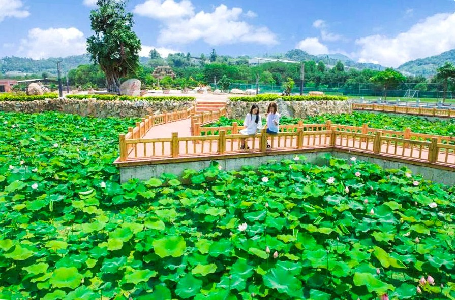 这个“国赛”19日在龙文开幕！今天这场“新闻发布会”你能get到很多信息……