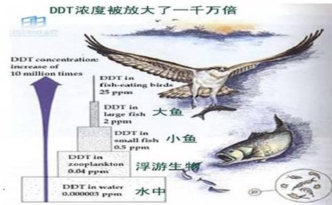 如何彻底消灭世界上所有的蚊子,要想消灭蚊子要克服恐惧