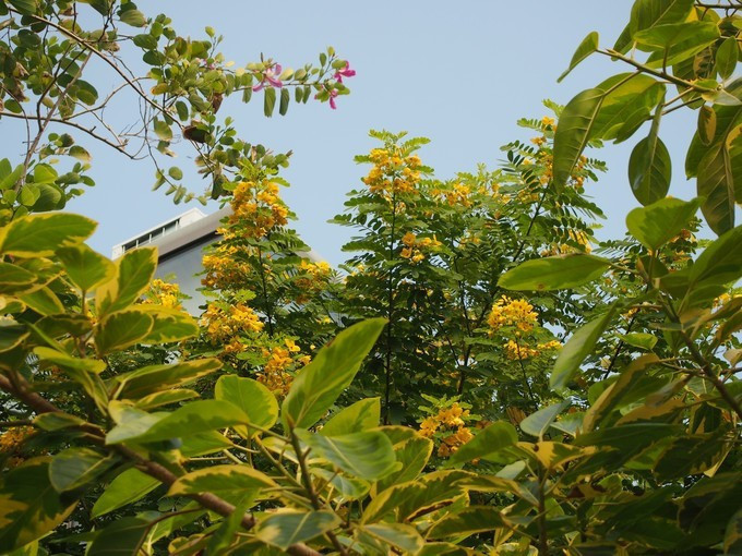 七夕去哪儿约会附近,七夕三亚旅游攻略