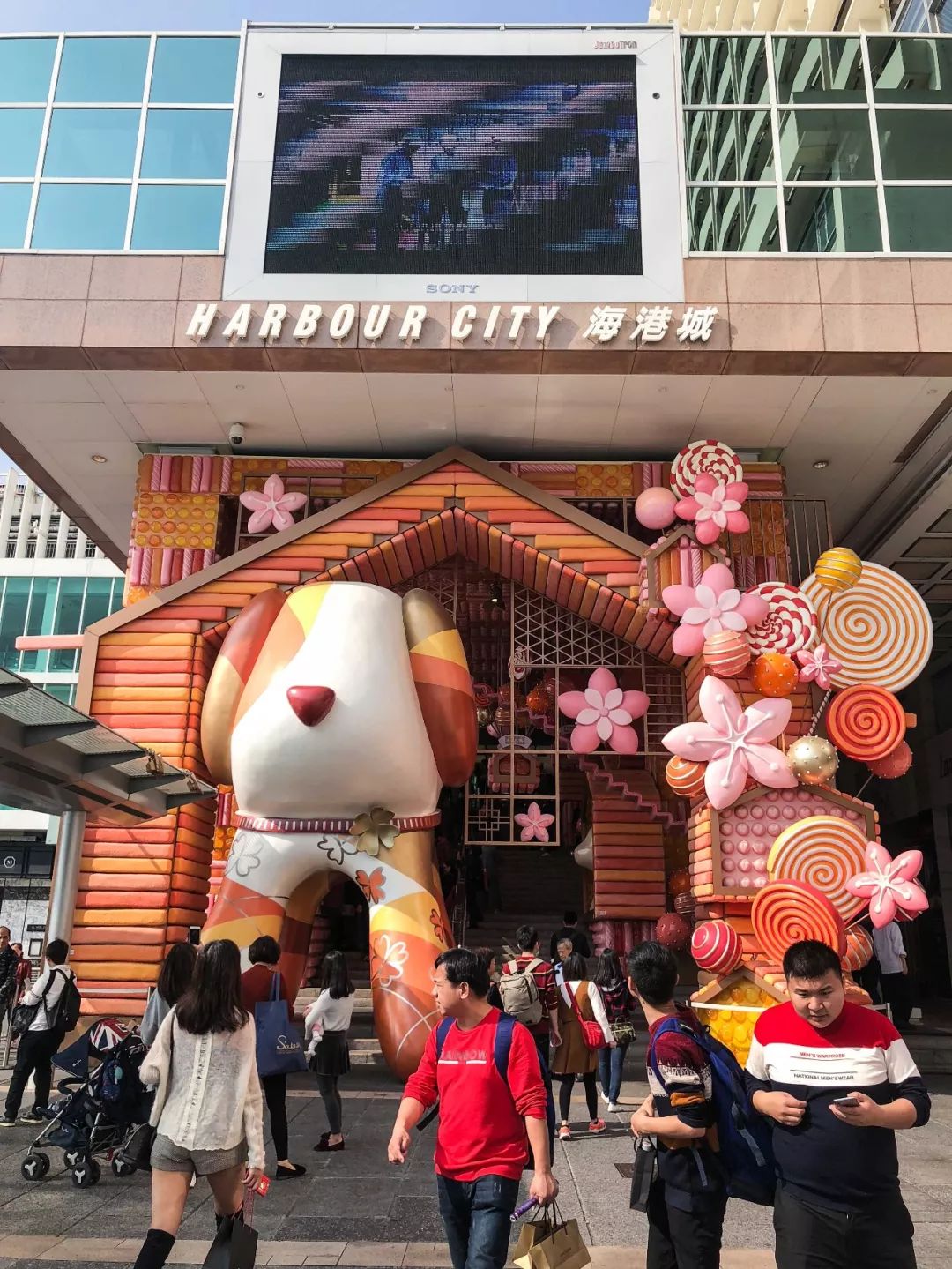 陕西到香港攻略,宝鸡到香港怎么出行最划算