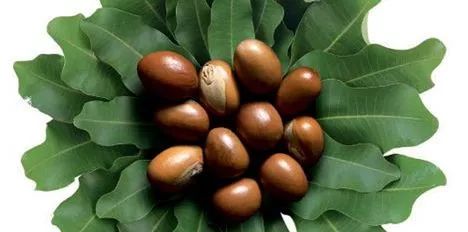 适合户外运动的平价防晒霜测评,运动型防晒霜平时可以用吗