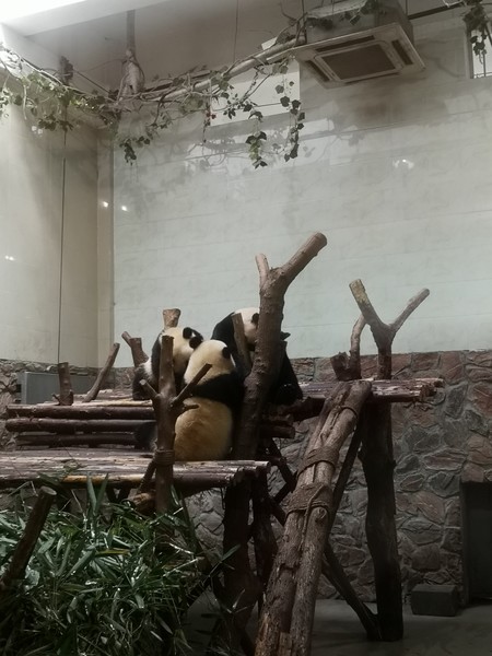 前往泸沽湖自驾游,往泸沽湖出发