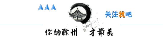 滁州信用报告,滁州市信用信息查询系统