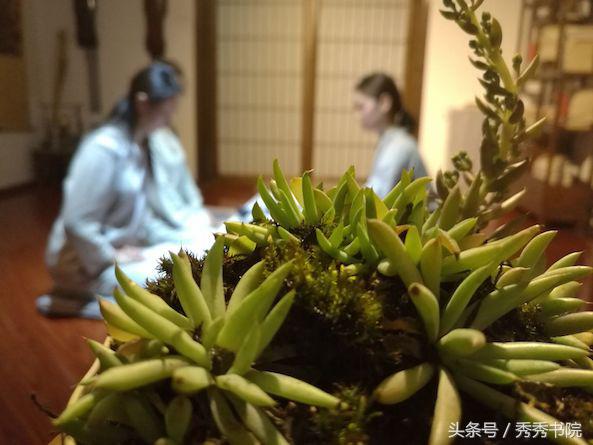 茶道美学文化,茶道美学合集