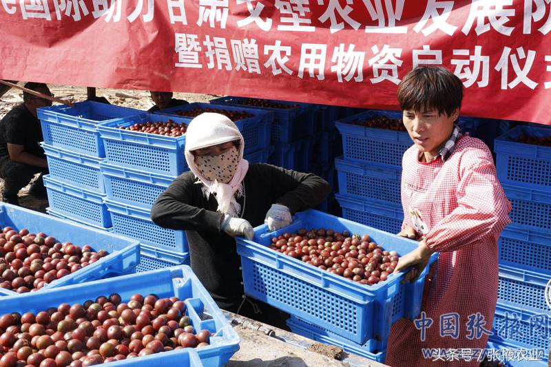 百e国际香港,百e国际平台