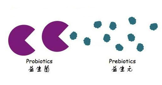 益生元和膳食纤维的区别，看完这篇你就全懂了！