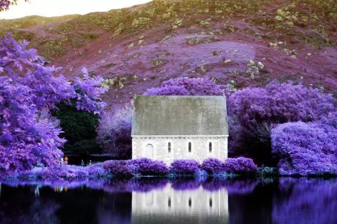 爱ta就带ta去三亚,绿野仙踪三叶草