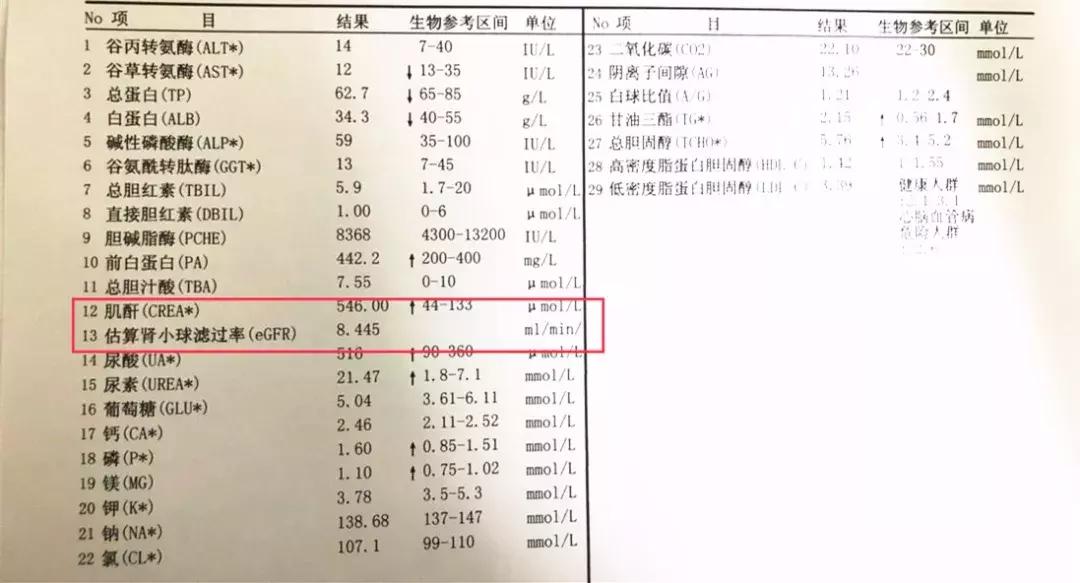 iga肾病快速降肌酐的药,得了肾病肌酐300能吃降肌酐药吗