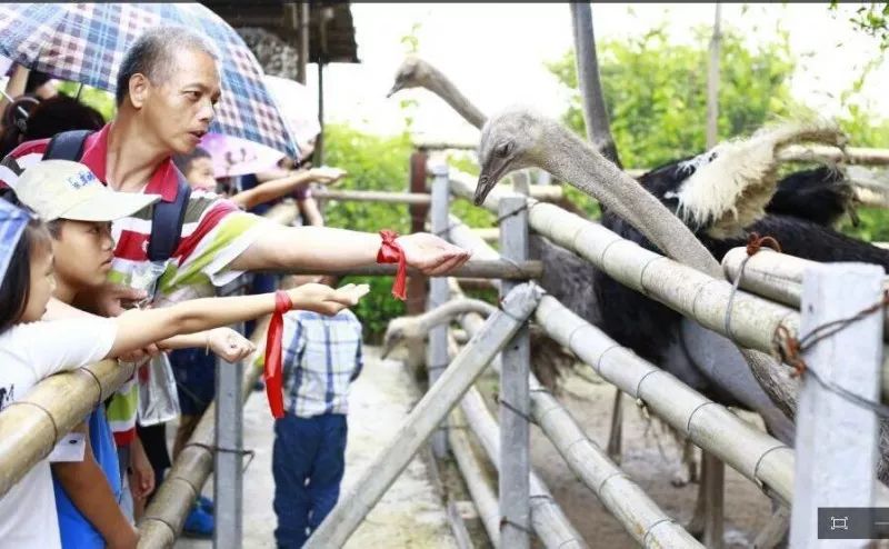 无套路旅游,无套路观看全集