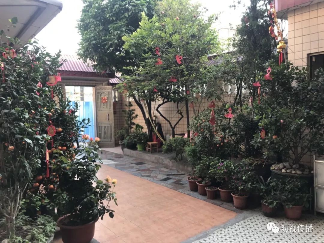 最美庭院评选,寻找最漂亮的花园小院