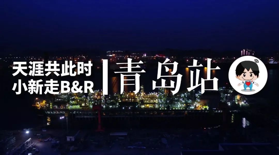 辽宁海边惊现巨型海兽,青岛发现的巨兽