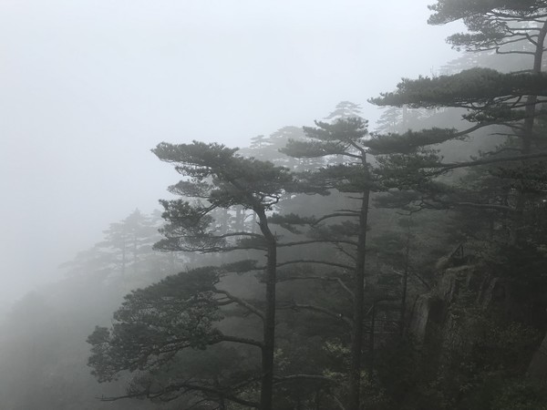 云深不知处格局,黄山风水奇穴