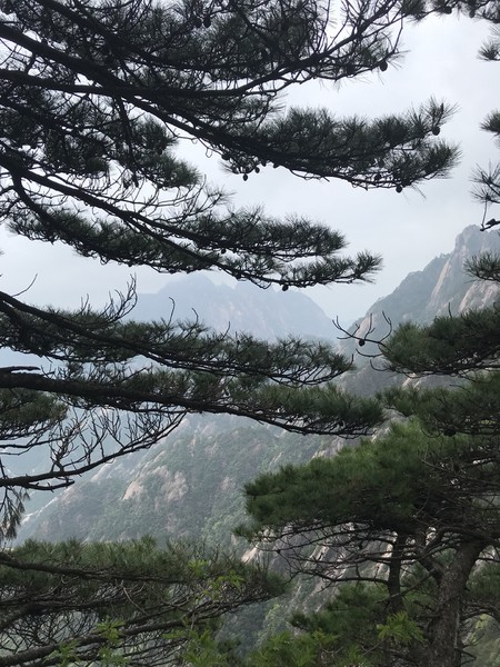 云深不知处格局,黄山风水奇穴