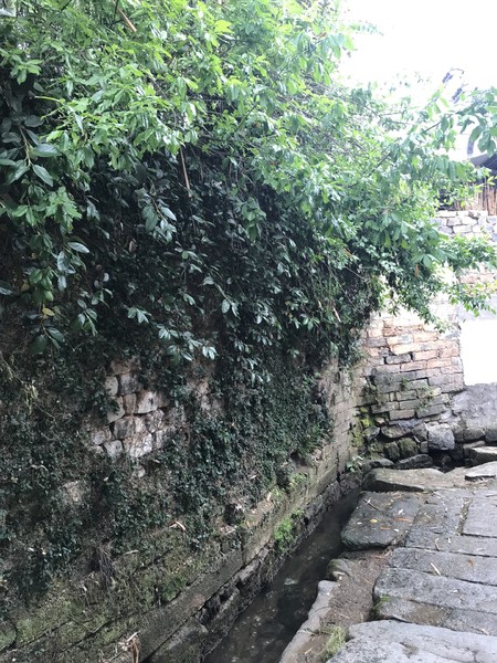 云深不知处格局,黄山风水奇穴