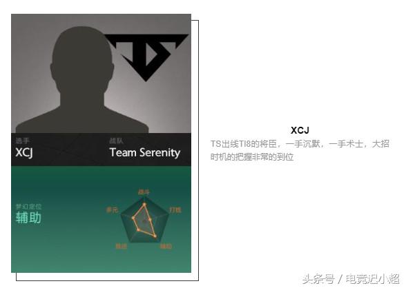 ti8战队阵容,ti8参赛战队