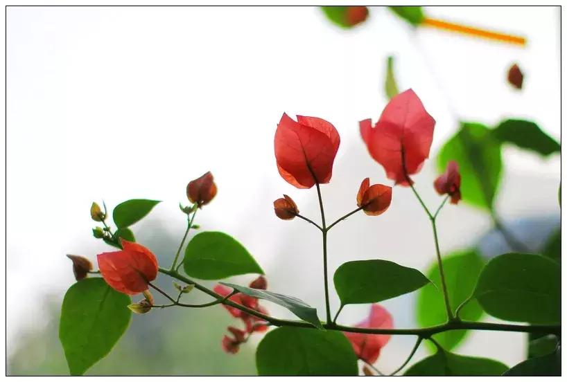 再见合肥师范完整视频,合肥二中校园