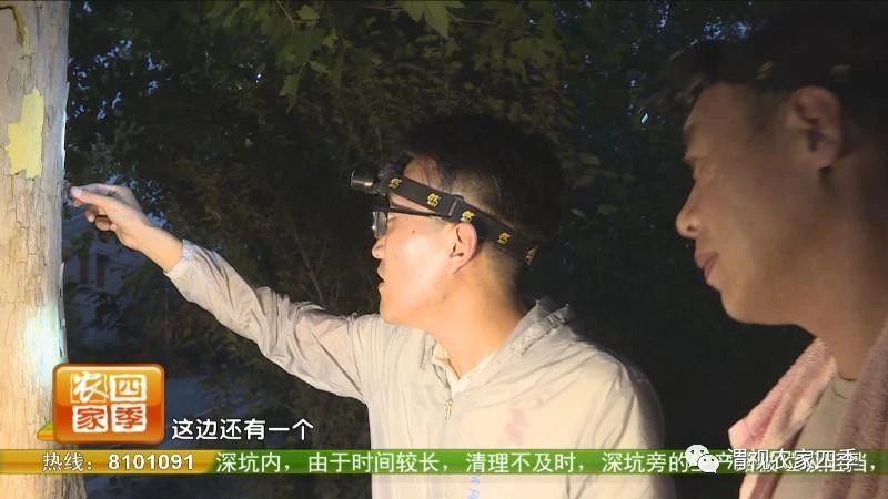 夏日纳凉好不惬意,夏日纳凉