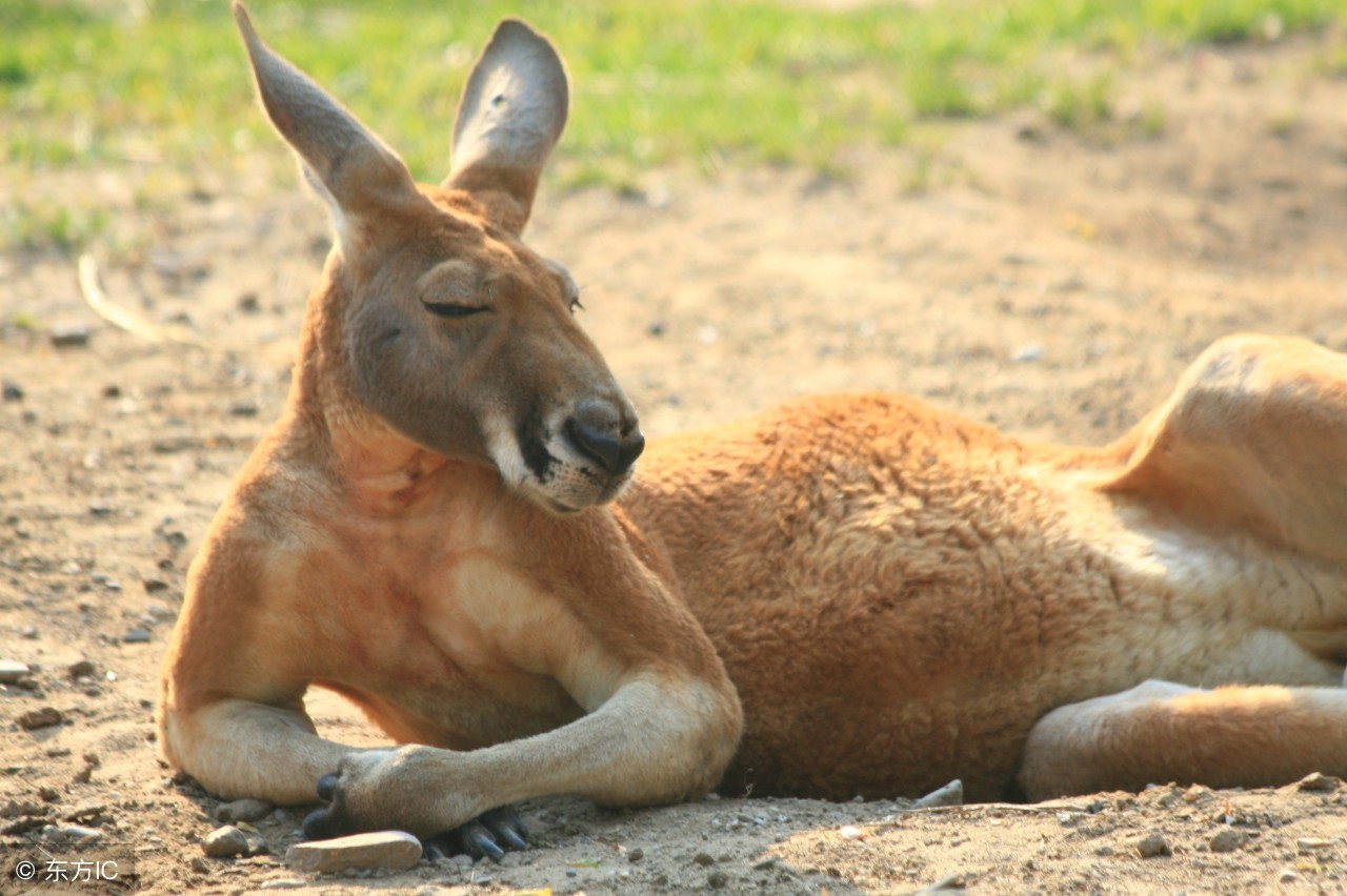 吐槽大会无聊且枯燥,吐槽大会不想上班主题
