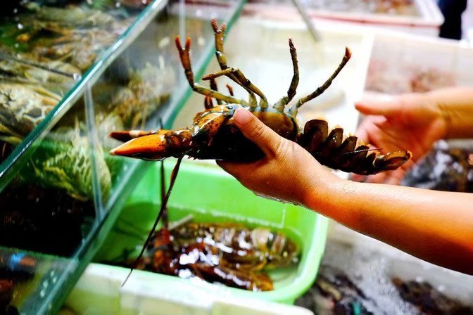 和妈妈第一次一起旅游,三亚潜水旅行攻略