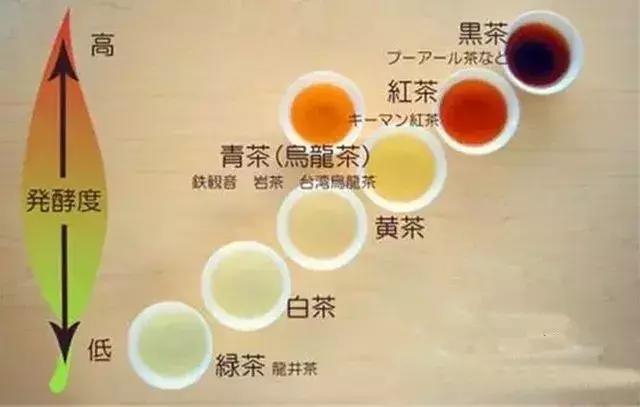 六大茶类的冲泡水温和发酵程度,六大茶类冲泡方法书籍