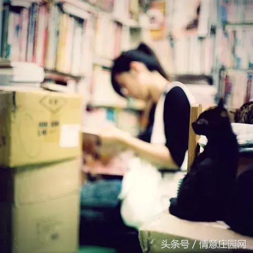 这是一家被喵星人占领的书店
