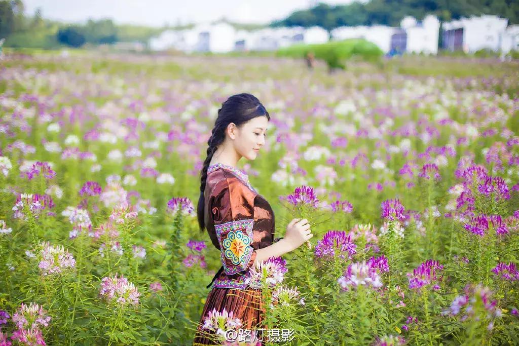 七夕将至，黄姚花海正值赏花期，相约一场简单爱！