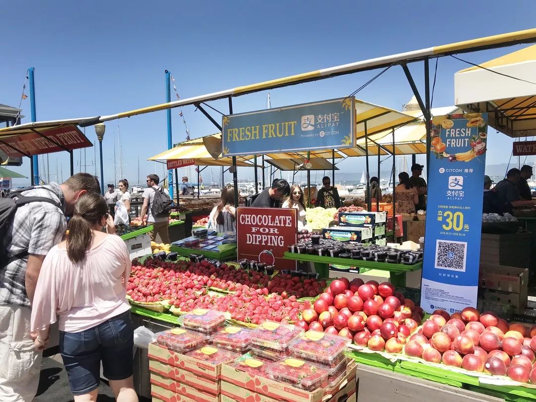 支付宝退税服务平台,支付宝手机退税