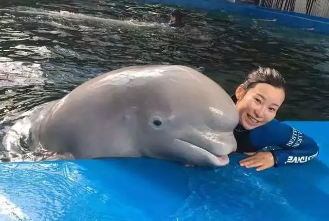 亲子游必去的地方,一周亲子游路线推荐