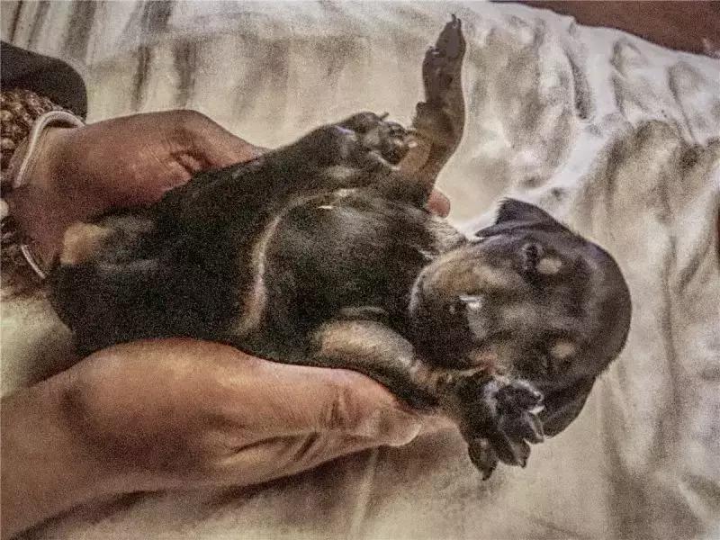 从马来西亚全职太太到丽江单身生活，她生命中的这些感动我