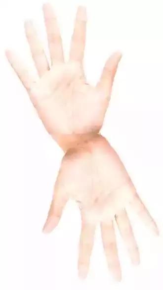 健康手掌颜色,手掌健康颜色