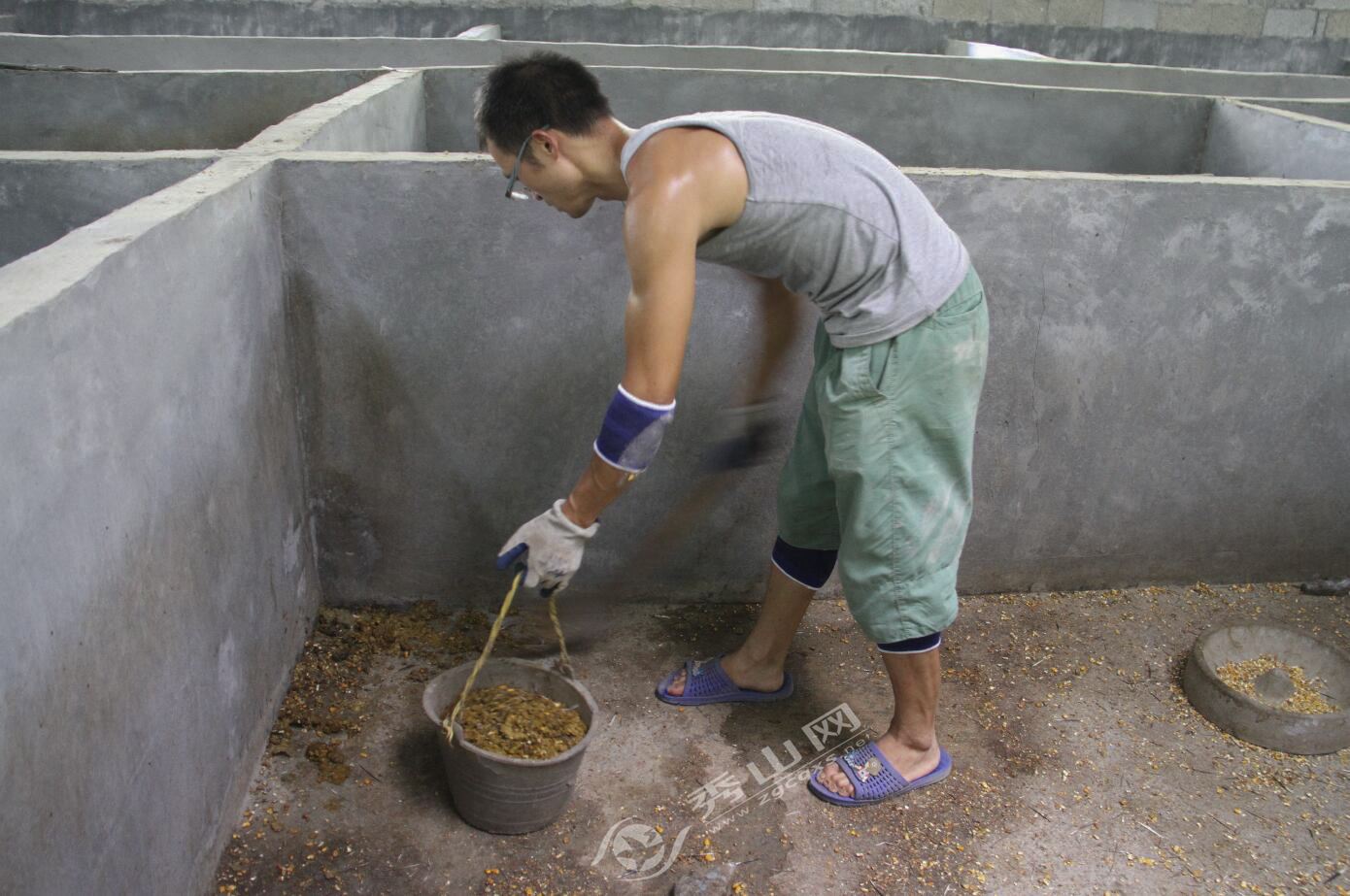 念好特色产业经奏响乡村富民曲,返乡创业致富养豪猪