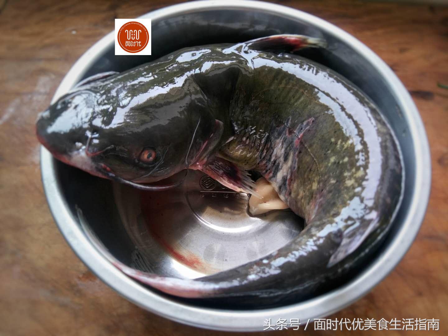 不辣的梭边鱼做法,梭边鱼火锅正宗做法