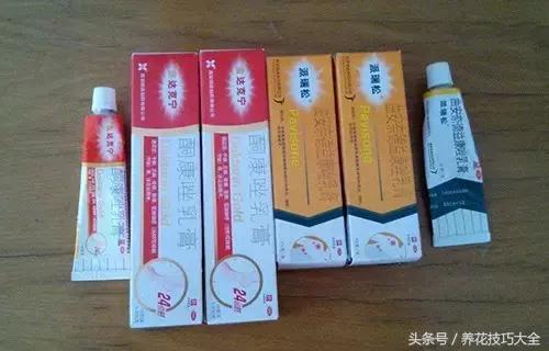 过期药品养花妙用,这些过期药品别扔拿来养花是神器