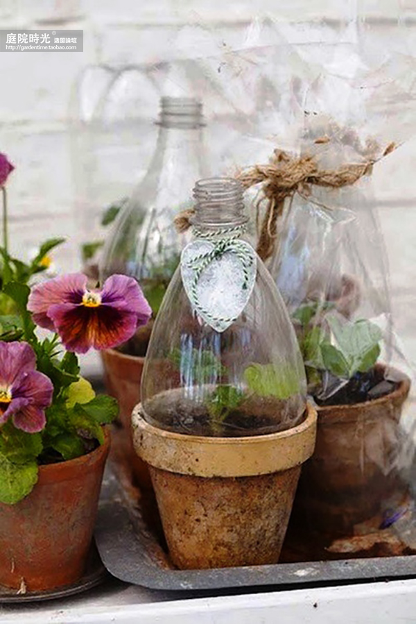 变废为宝自制栽培绿植器皿,塑料瓶创意绿植盆栽旧物利用