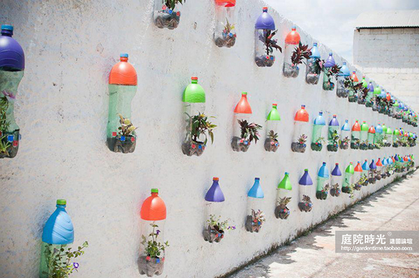 变废为宝自制栽培绿植器皿,塑料瓶创意绿植盆栽旧物利用