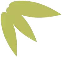 七夕送个啥好呢,七夕送点啥好呢