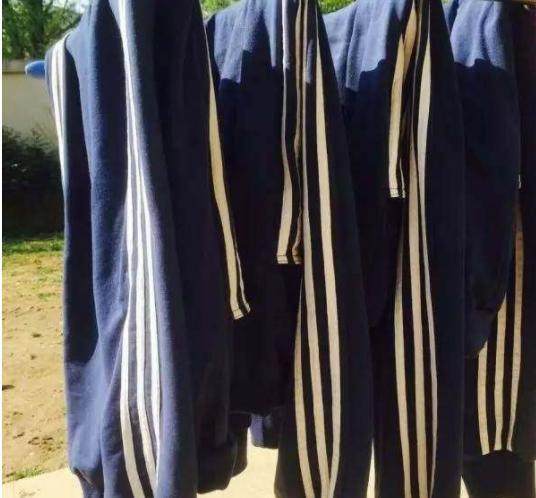 朴树当导师的综艺节目,朴树音乐之路