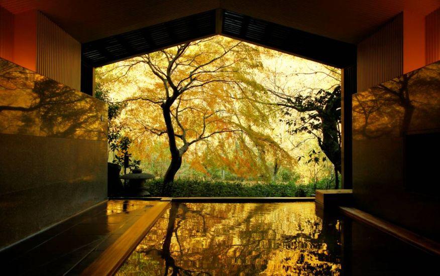 星野集团第十分公司,星野集团官网在线预订