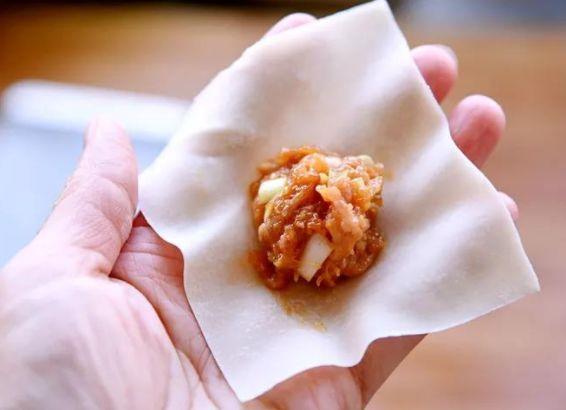 十种最漂亮的云吞包法,云吞包法视频12种包法