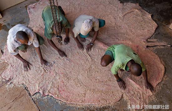 犀牛角的特征和图片,犀牛角的种类图片大全