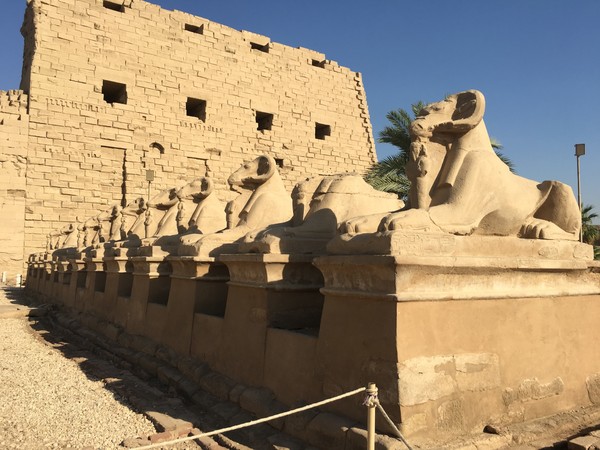 幼年时的梦,年少时的梦原文朗读