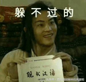 自从迷上*戏调**某宝客服后，我不会说话的毛病就被治好了