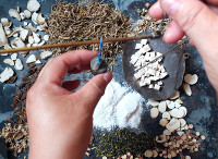 冬病夏治，乡下常见桂树枝，轻松治愈关节炎，错过这次再等一年