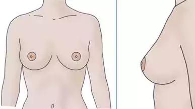 美沃斯早参0817｜最美乳头乳晕位置比例;O2O平台与百度营销对比